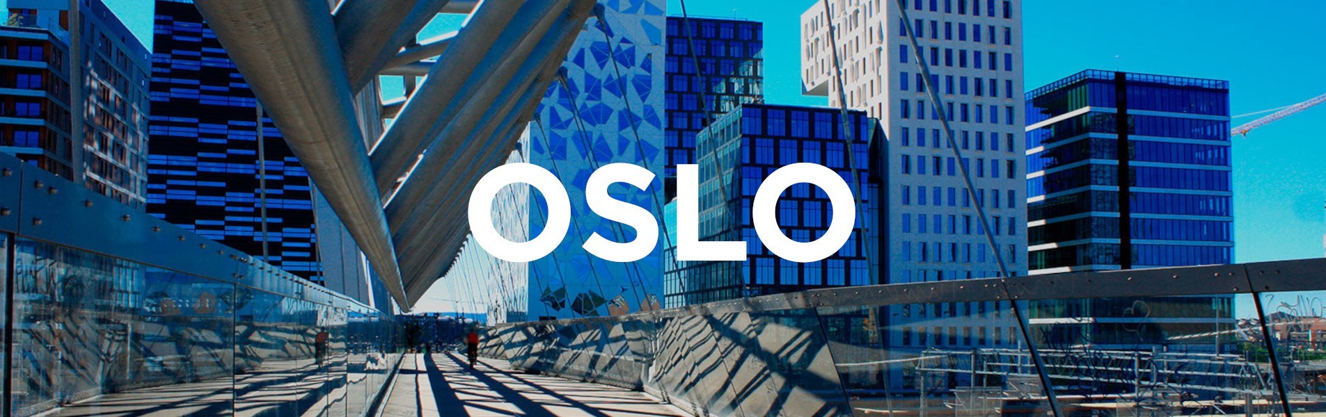Oslo | Calzado ecológico de edición limitada para hombre